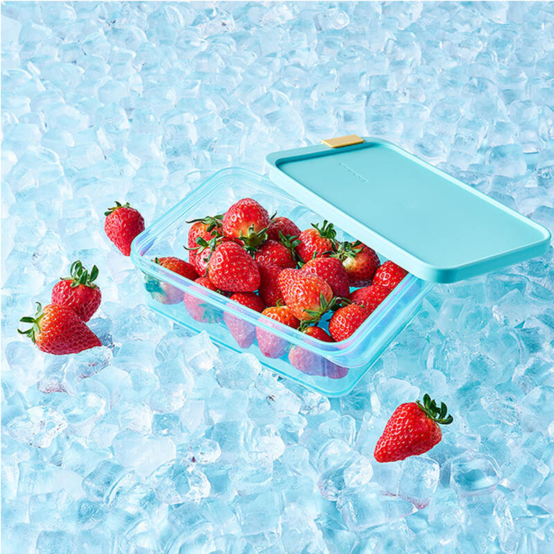 Hộp Trữ Đông Thực Phẩm Freezer Fit Locknlock Màu Tự Nhiên nhiều dung tích- HFL10 image number null